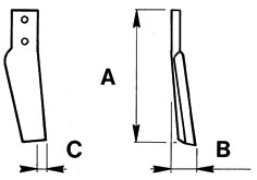 DENTE MAS ROTOTERRA