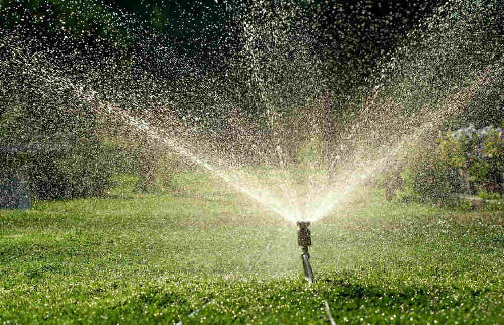 IRRIGAZIONE E GIARDINAGGIO